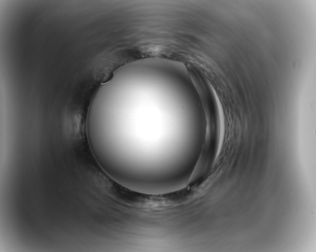 X0000088700420200705311218