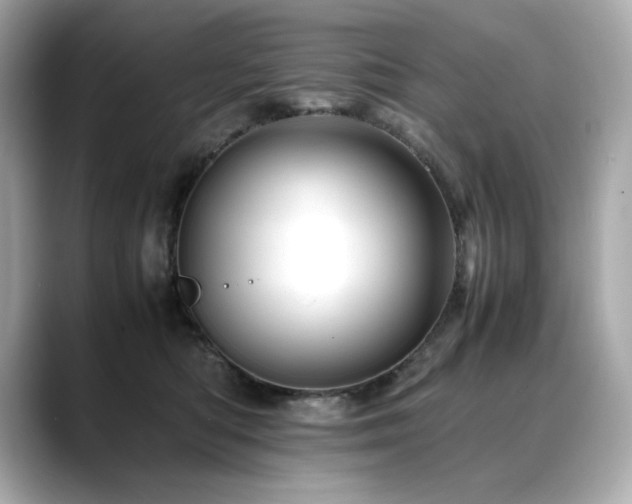 X0000088700422200705311218