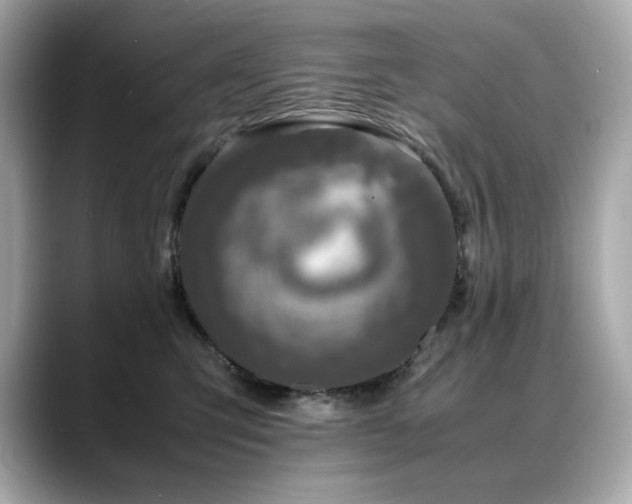 X0000088700423200705311218