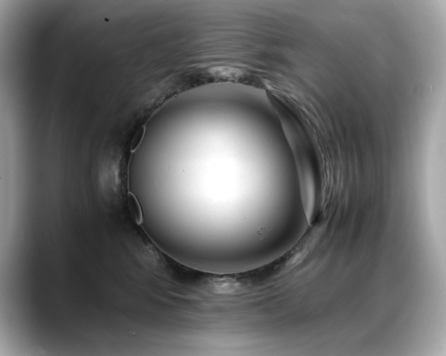 X0000088700424200705311218