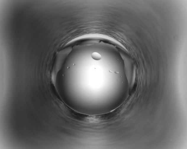 X0000088700425200705311218