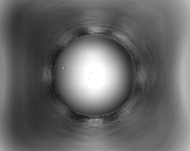 X0000088700426200705311218