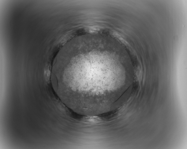 X0000088700427200705311218