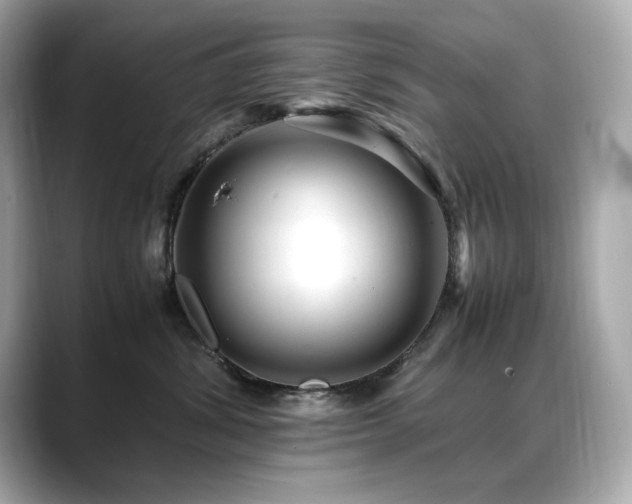 X0000088700428200705311218