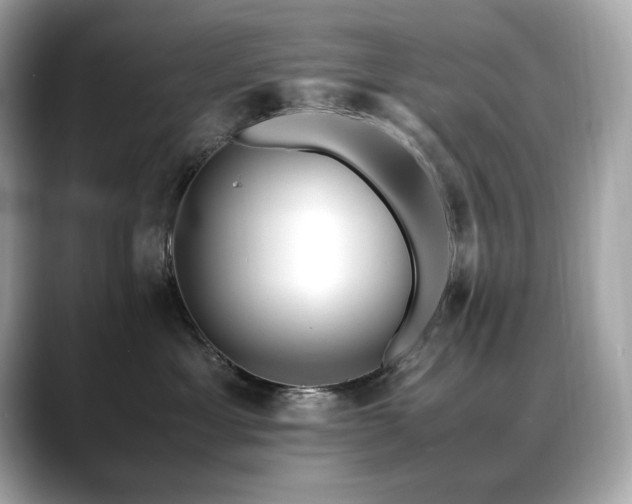 X0000088700429200705311218