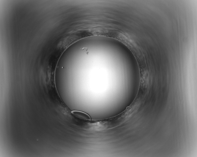 X0000088700430200705311218