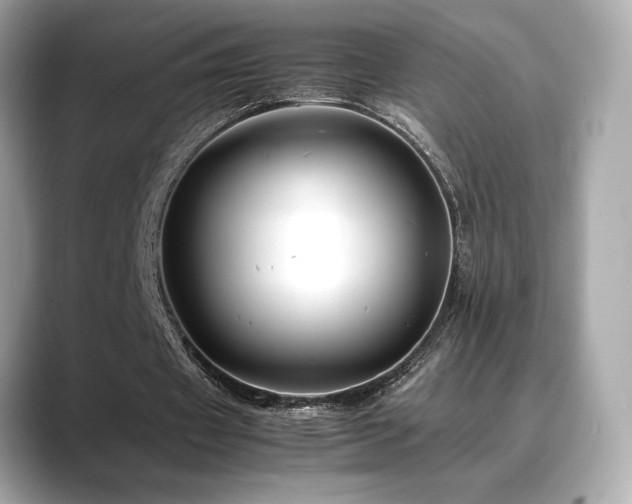 X0000088700433200705311218
