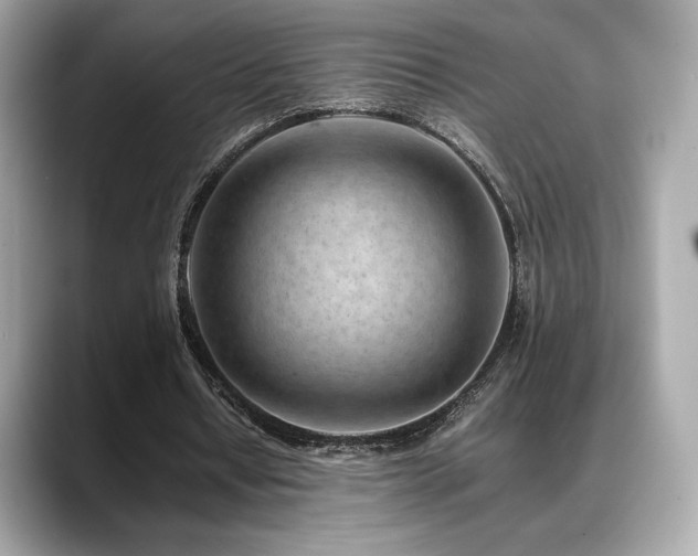 X0000088700434200705311218