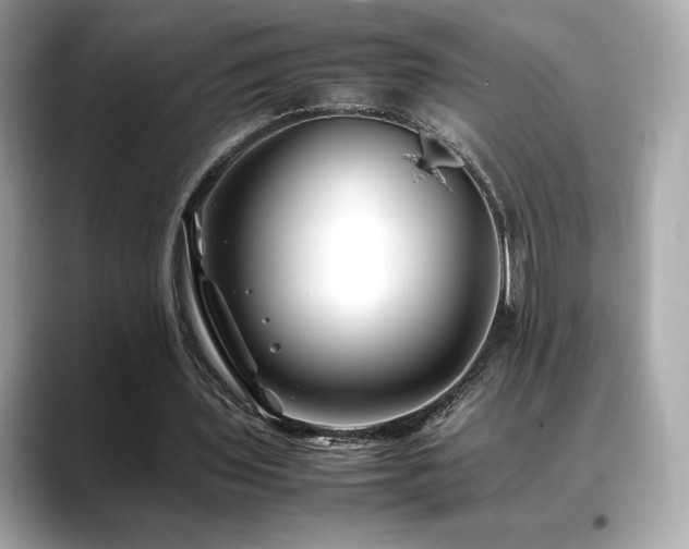 X0000088700435200705311218