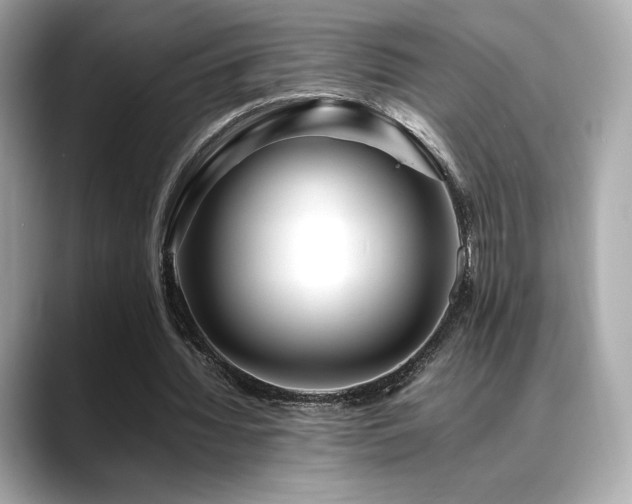 X0000088700436200705311218