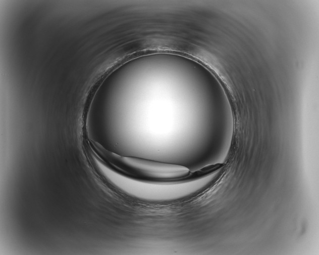 X0000088700437200705311218