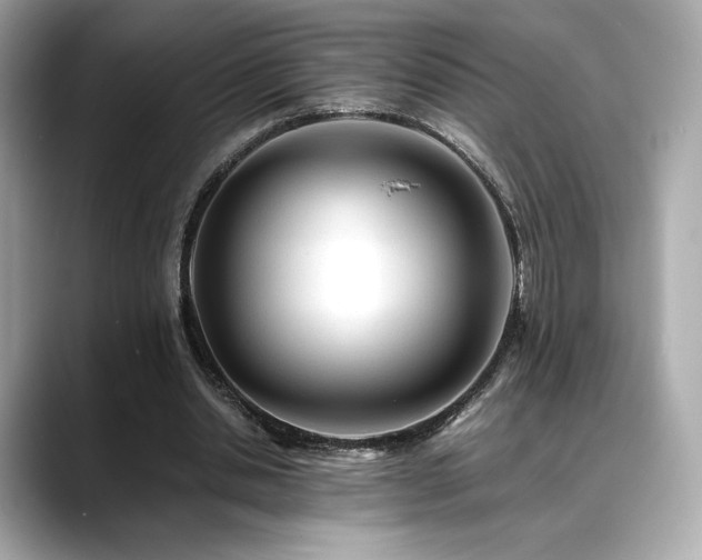 X0000088700438200705311218