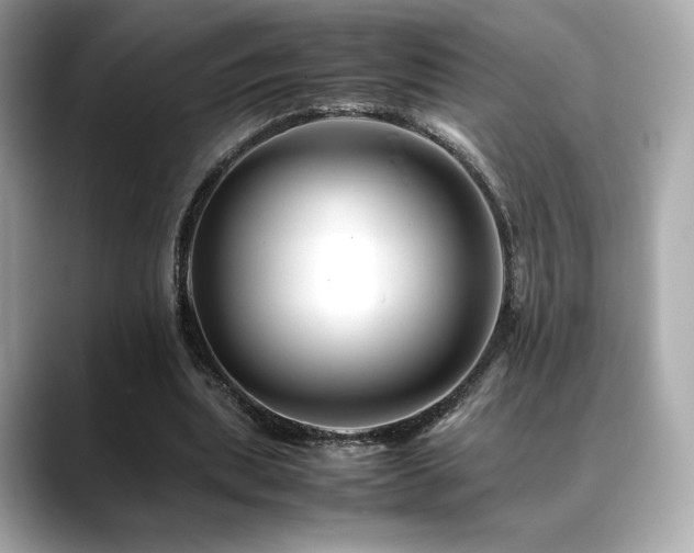 X0000088700439200705311218