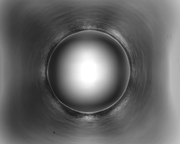 X0000088700441200705311218