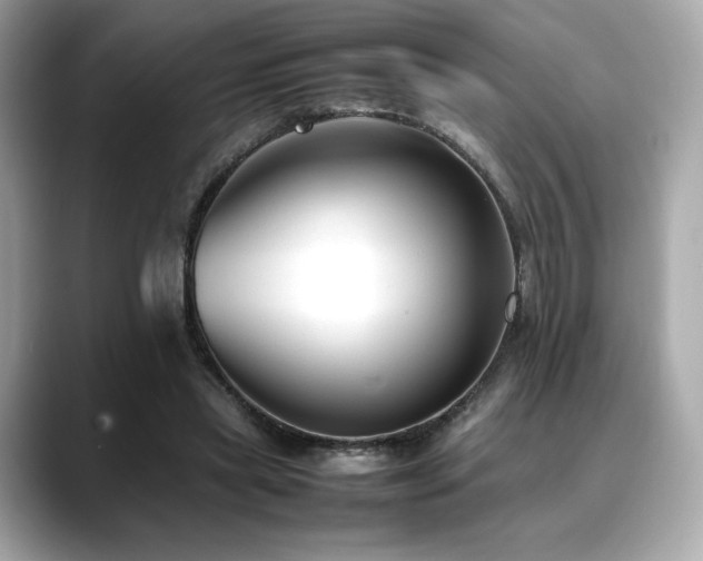 X0000088700445200705311218