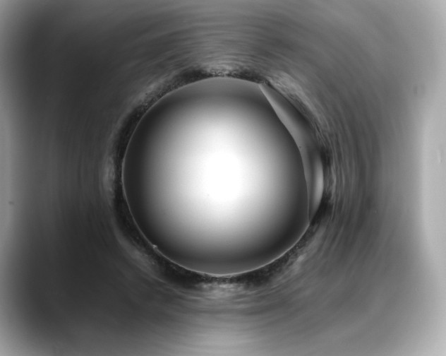 X0000088700448200705311218