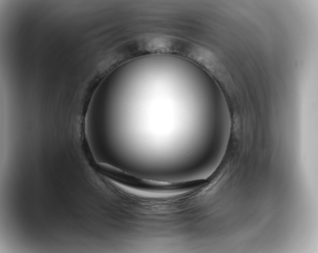 X0000088700449200705311218