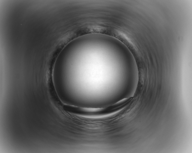 X0000088700451200705311218