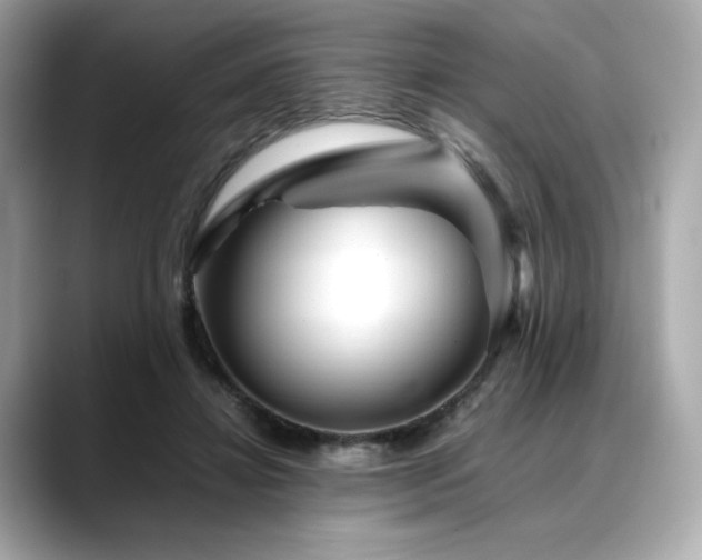 X0000088700452200705311218