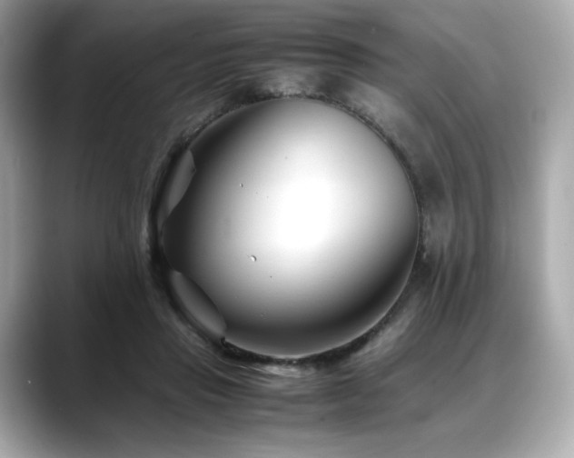 X0000088700453200705311218