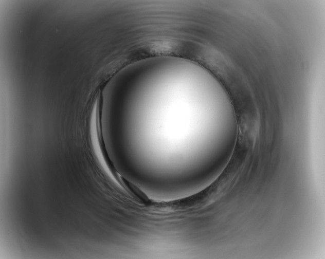 X0000088700454200705311218