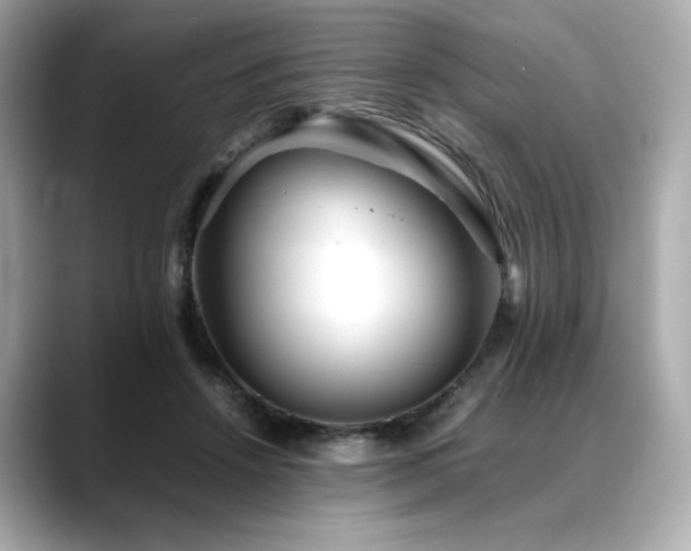 X0000088700456200705311218