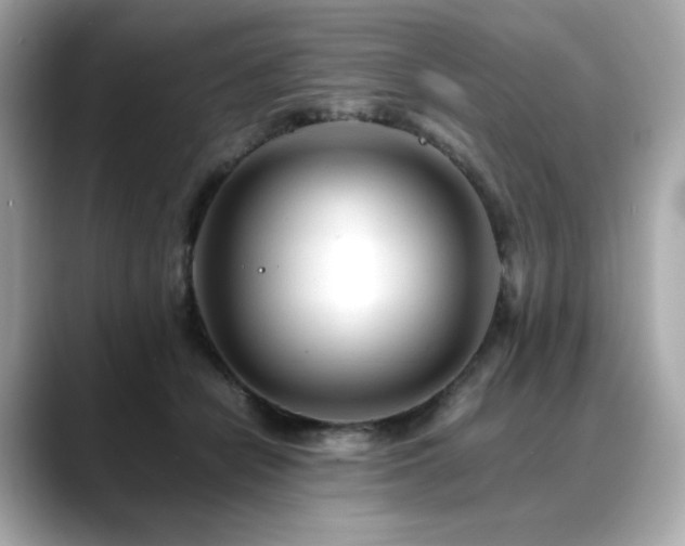 X0000088700462200705311218