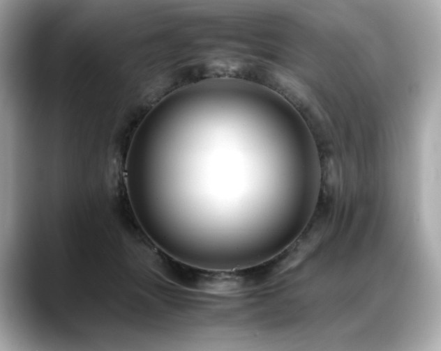 X0000088700463200705311218