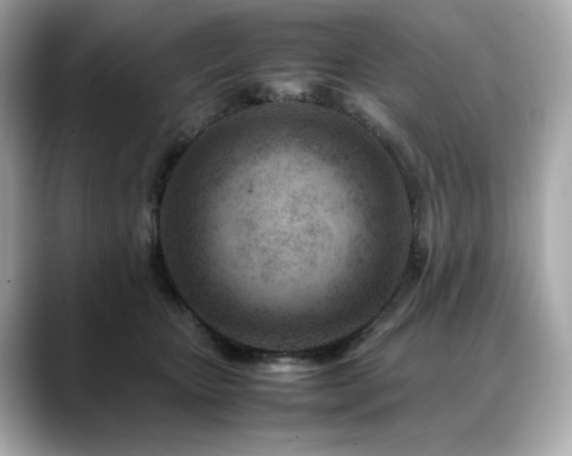 X0000088700467200705311218