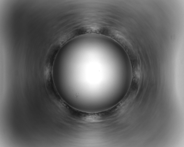 X0000088700468200705311218