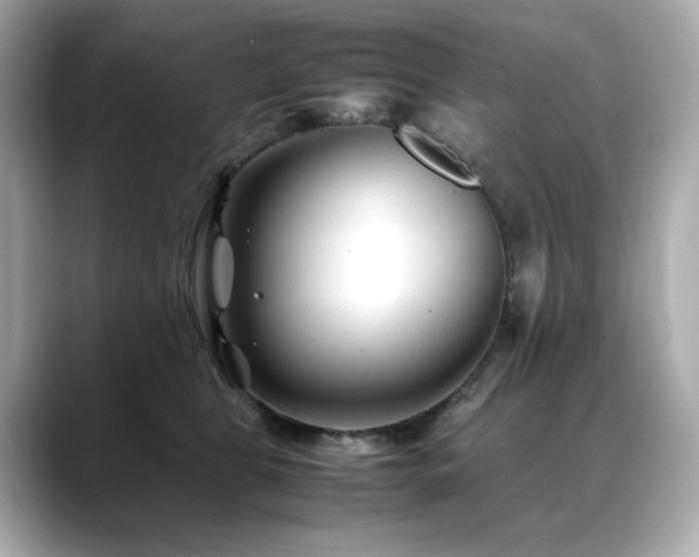 X0000088700469200705311218