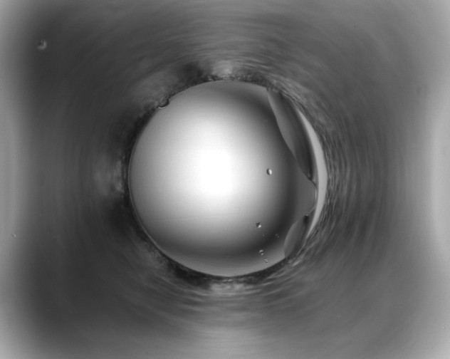 X0000088700470200705311218