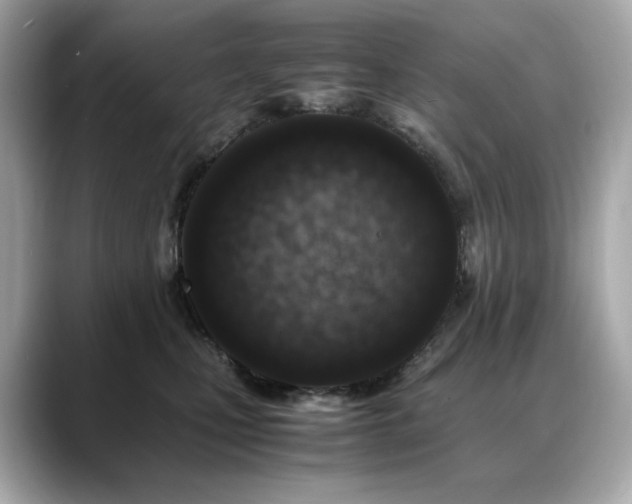 X0000088700471200705311218