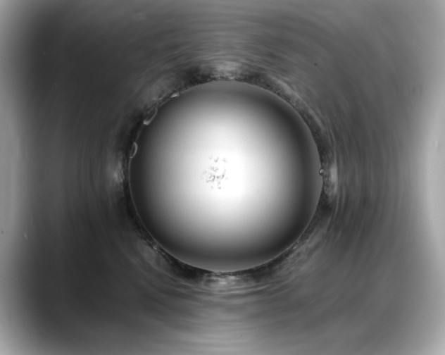 X0000088700472200705311218