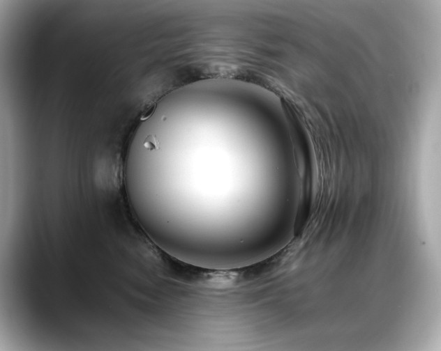 X0000088700474200705311218