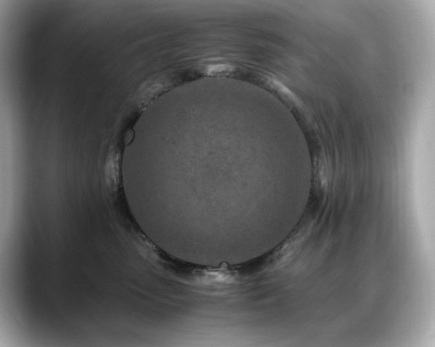 X0000088700475200705311218