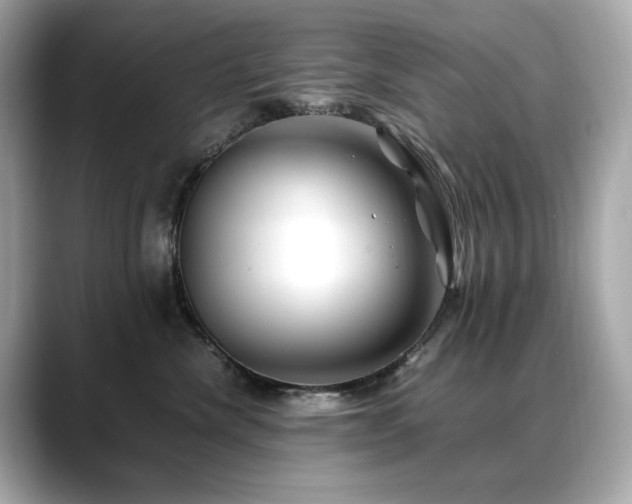 X0000088700476200705311218
