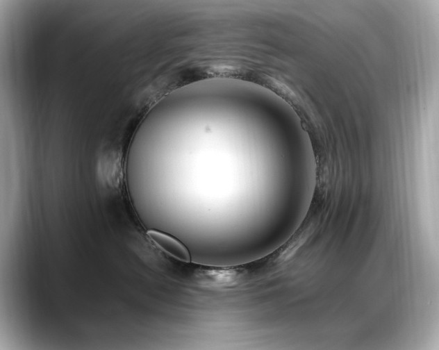 X0000088700478200705311218