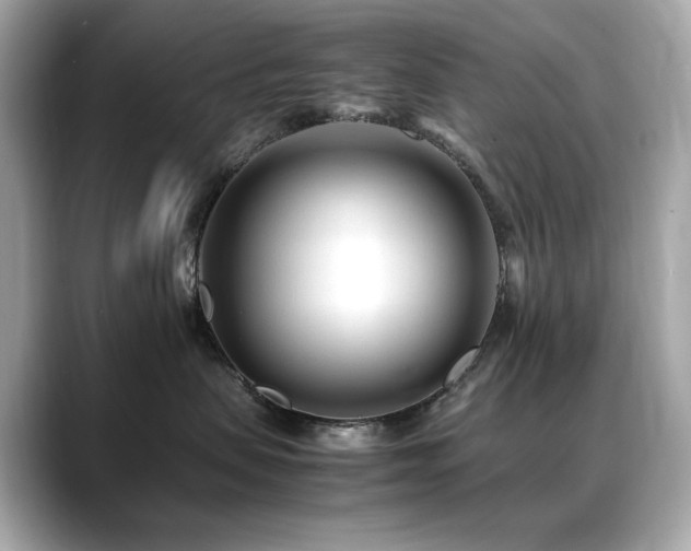 X0000088700479200705311218