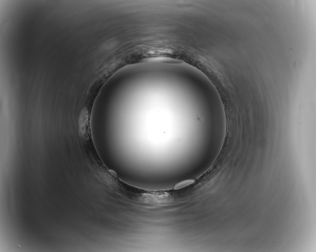 X0000088700480200705311218