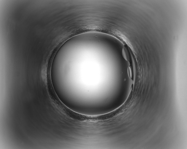 X0000088700482200705311218