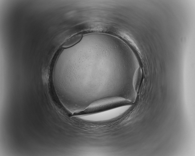 X0000088700483200705311218