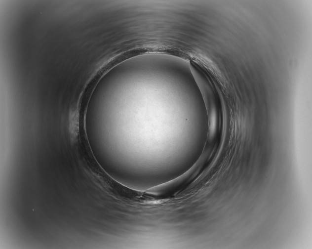 X0000088700484200705311218