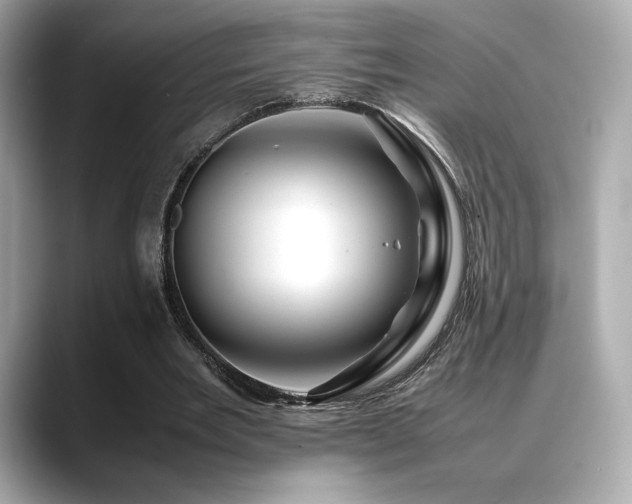 X0000088700485200705311218