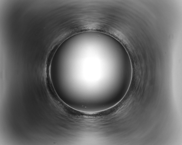 X0000088700486200705311218