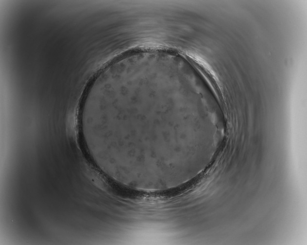 X0000088700487200705311218