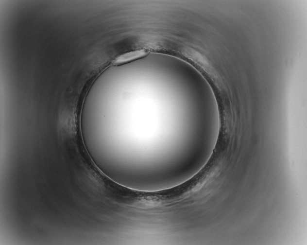 X0000088700489200705311218