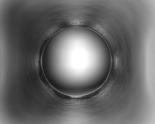 X0000088700490200705311218