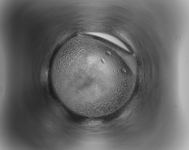 X0000088700491200705311218