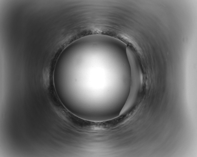 X0000088700496200705311217